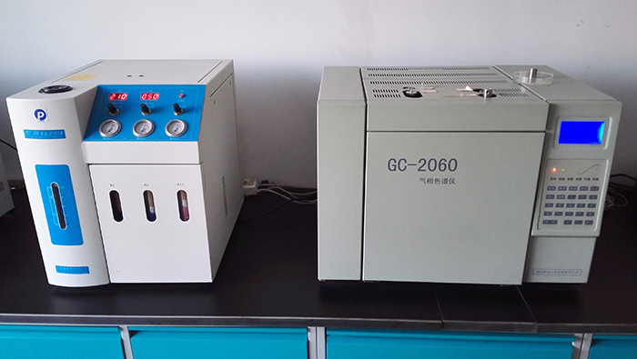   Gas chromatograph